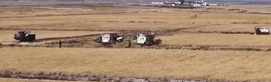 多地黄淮海地区秋粮抢收有序推进(图1)