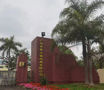 广西来宾糖业转型升级 打造绿色循环产业链(图1)