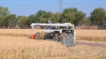 辽宁构建新型气象为农服务体系 科技赋能乡村振兴