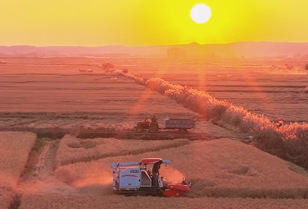 吉林春耕有序推进 科技助力黑土地保护