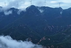 浙江云和白龙山片区创新"街乡共治"模式 助力搬迁群众增收致富