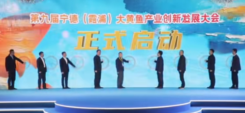 宁德大黄鱼产业创新发展 全链条升级打造"国鱼"品牌