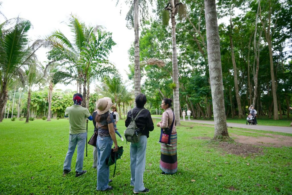 观鸟，不只是观鸟：云南绿水青山间的“新翅膀”(图1)