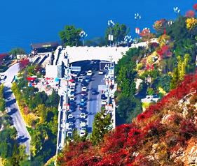 全国红叶经济发展研讨会在重庆巫山举行 推动区域协作升级(图1)