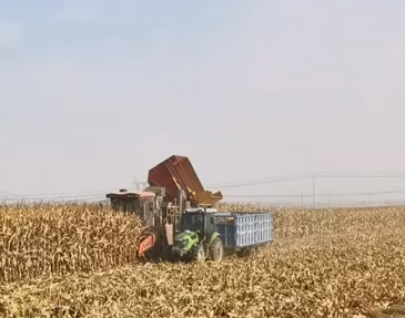 甘肃农业“十四五”成果丰硕：科技赋能粮食稳产增产