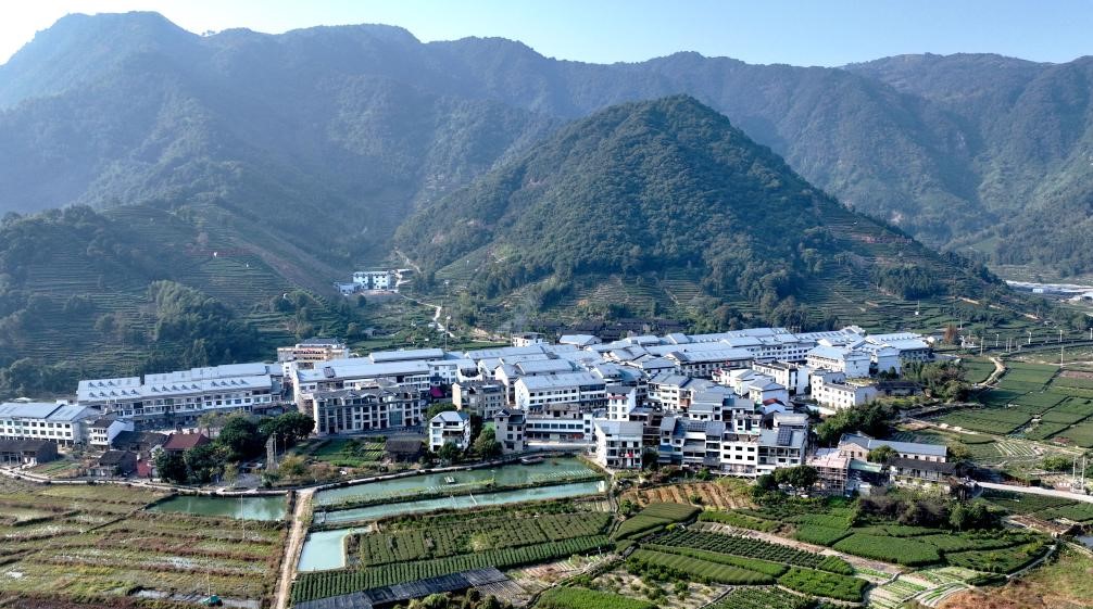 赤溪村的乡村振兴新气象(图1)