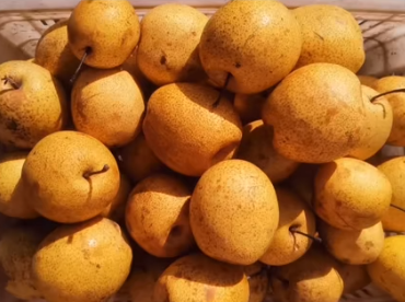 一颗黄梨的“七十二变”:深加工撬动山村致富路