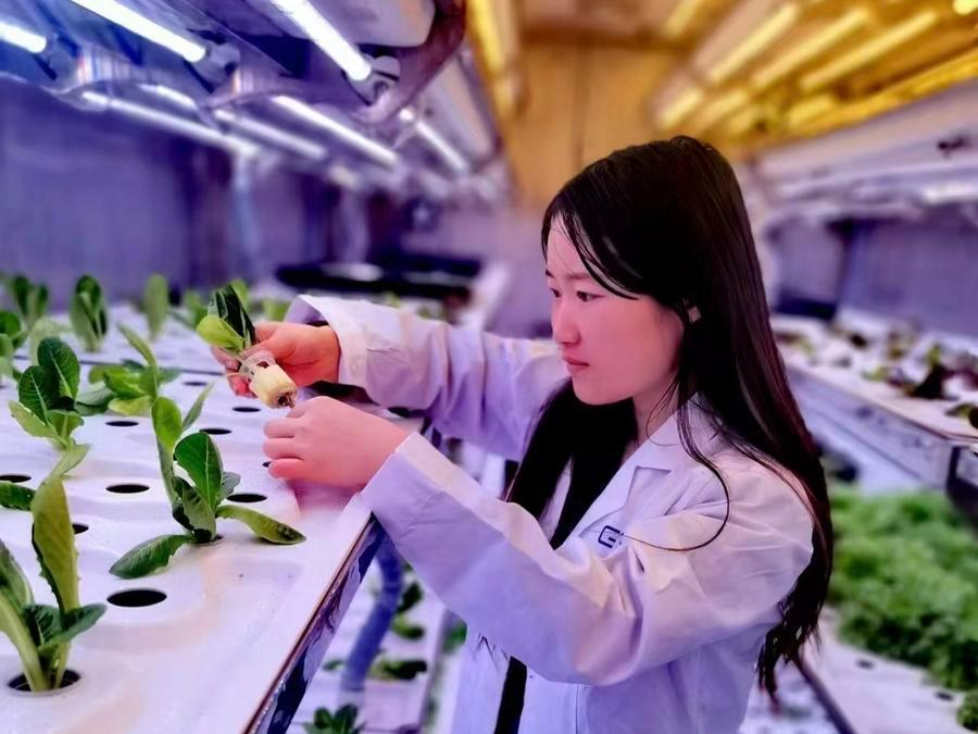 冬闲变“冬忙”，齐鲁田野跃动新生机(图1)