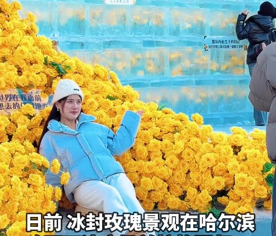 “尔滨”冰封玫瑰焕新“绽放”(图1)
