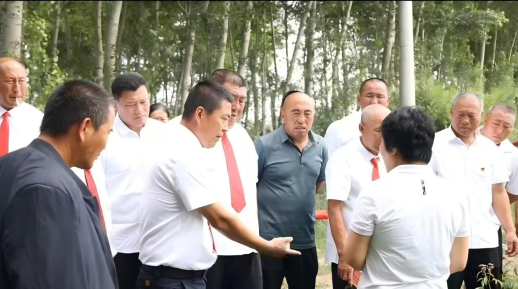 绿韵兴乡铺富路 实干兴村启振兴(图2)