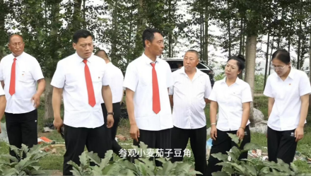 绿韵兴乡铺富路 实干兴村启振兴(图4)