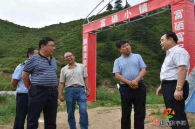 富硒田垄涌春潮 精准帮扶暖民心