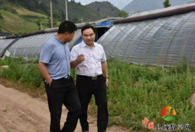 富硒田垄涌春潮 精准帮扶暖民心(图2)