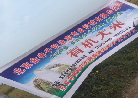 黑土稻熟香飘海外 陆家村大米借“一带一路”闯全球 五常民乐乡水稻核心产区丰收季启幕(图4)