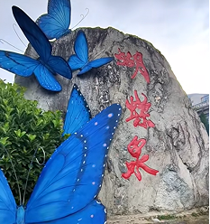 云南金平县借“双名片”助推康养旅居产业