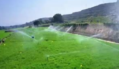 生态优先，绿色赋能 甘肃林