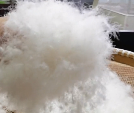 万金塔乡羽绒产业升级，年产鹅绒70万公斤(图1)