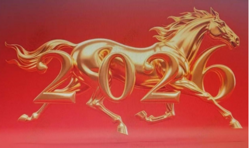 丙午启新程 奋蹄赴荣光(图1)