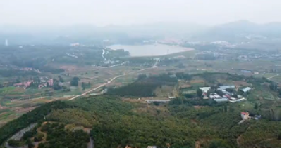 沂蒙山茶产业调研：绿叶变“金叶”的绿色之路