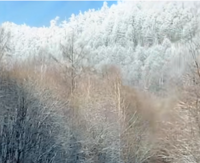 呼伦贝尔首创“雪假” 学生将享五天冰雪时光