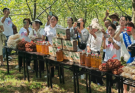 从田间到屏幕：农村电商点亮乡村致富新路