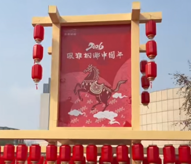 长三角游客专程奔赴！桐乡乡村小院，解锁新春休闲新方式(图1)