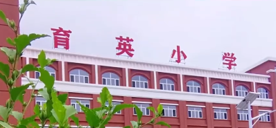 灵丘育英小学“空中菜园”：方寸之地 育出成长大能量(图1)