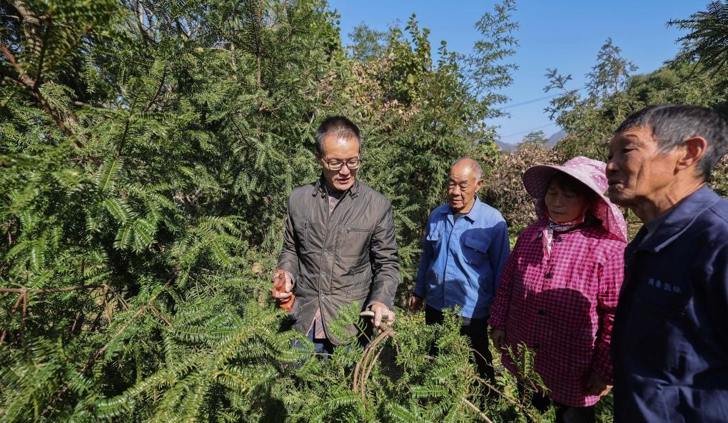 浙江诸暨：乡镇党员干部助力共富工坊发展(图1)