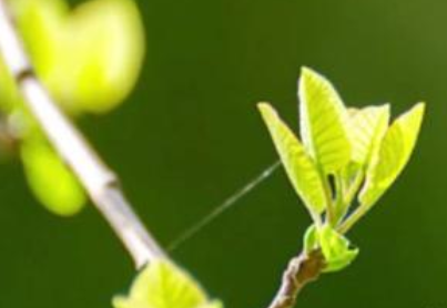 惊蛰升温模式开启 春捂要捂对部位与时间