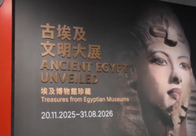 多条线路可选！“九巴法老猫号”运营详情抢先看(图1)