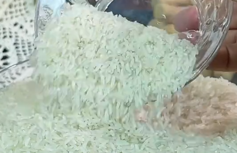 粤强种芯”赋能 广东丝苗米