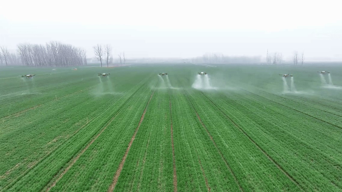 春回沃野农事忙(图1)