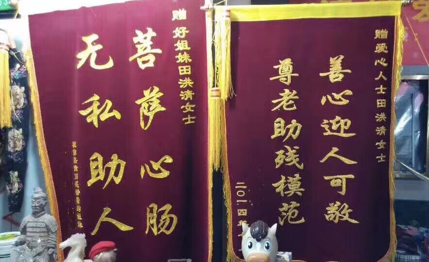 寒梅映初心 田园筑华章   ——记锦绣田园梦发起人田洪青女士的公益与振兴之路(图2)