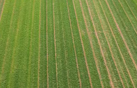 南昌蒋巷镇：自动化育秧忙 春耕备耕劲头足