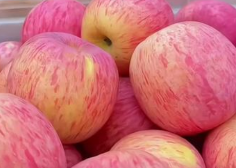 侨架连心桥 栖霞苹果深加工产品走出国门亮相南亚(图1)