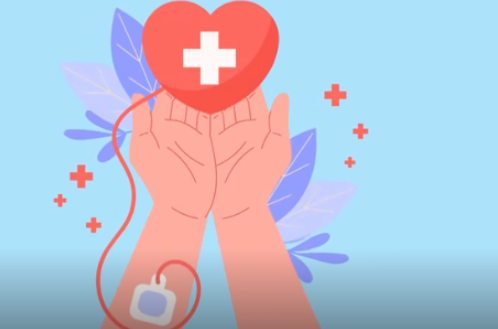 献血后恢复不踩雷！常见谣言大盘点，看完秒懂