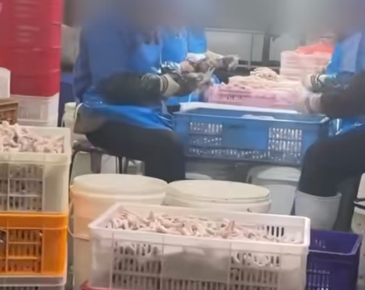 聚焦3·15曝光乱象 多地密集开展执法整治(图1)