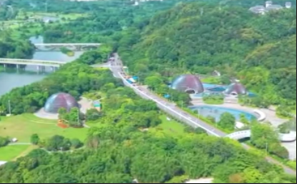 传承植绿初心，广州续写全民义务植树新篇章(图1)