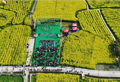 花海迎客来 经济添活力——湖北咸丰农旅融合绘就春日新答卷(图1)