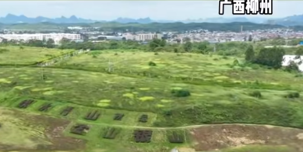 柳州：昔日垃圾填埋场 今朝生态新画卷(图1)