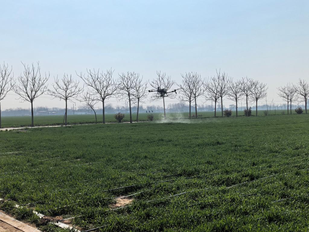 春耕新鲜事丨河南清丰：无人农场咋春管(图1)