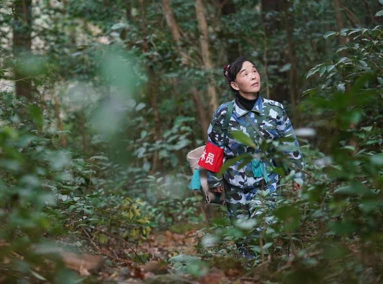 护林三十载 她视山林如家(图1)