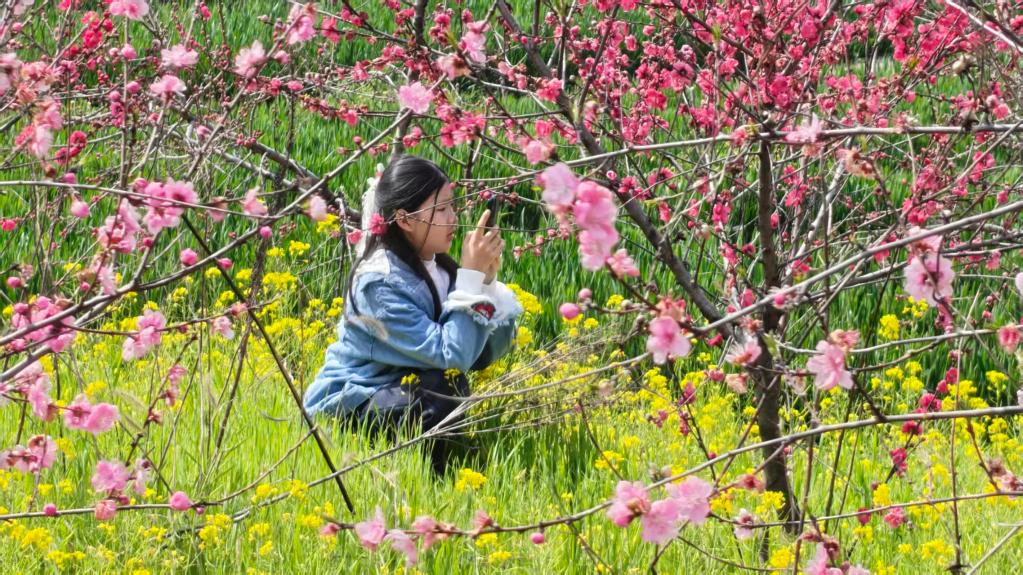 “一朵桃花”成为激活乡村振兴“金钥匙”(图1)