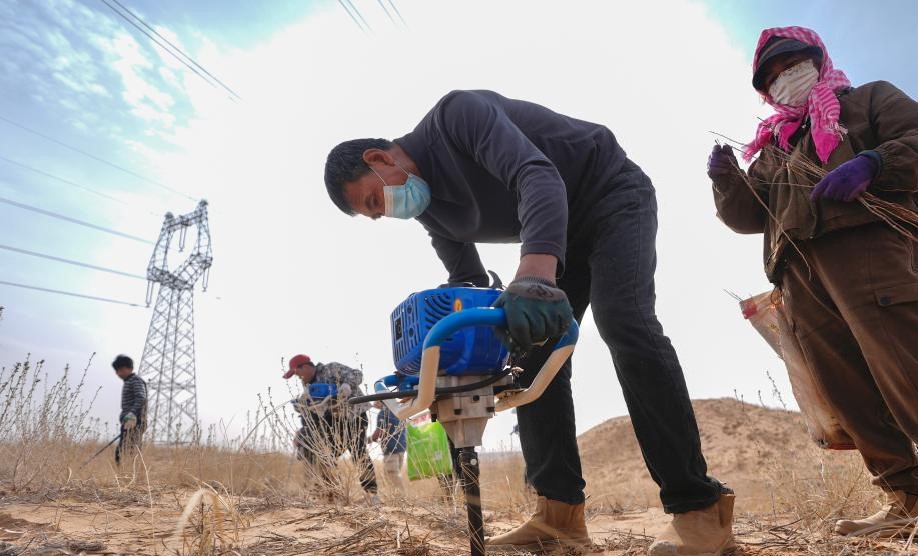 春日植绿锁黄沙(图2)