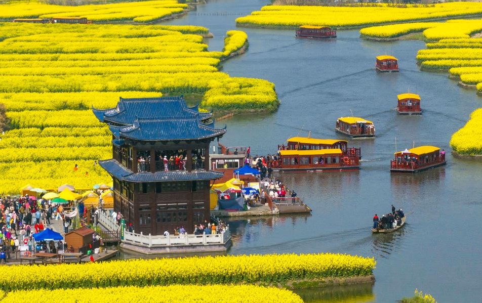 江苏兴化：千垛花海引客来(图1)