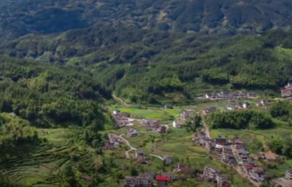 文化赋能+产业发力 桂东“两叶一竹”绘就富民答卷(图1)