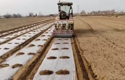 东安：农技专家下田间 护航春耕保丰收(图1)