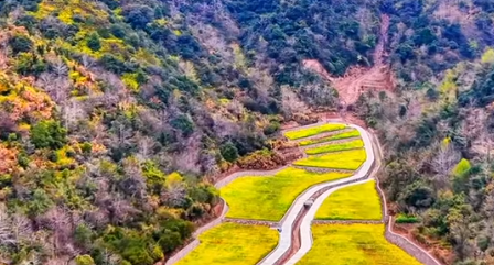 千年古村焕新颜 仙溪镇南閤村文旅融合启新程(图1)