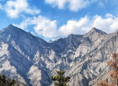 醉美金山启新程 贺兰县展藤节解锁酿酒葡萄春耕新图景(图1)