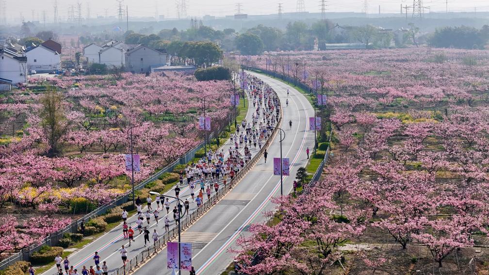 从“赏桃林”到“觅桃源”，林下经济“种”出田园新花样(图1)